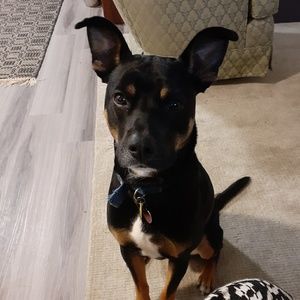 Meet your Posher, Erin